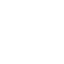 Standard and non-standard solutions