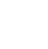 Standard and non-standard solutions